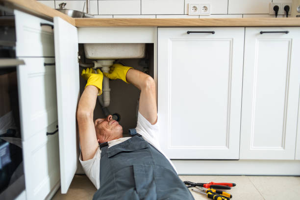 Best Plumbing Services Near Me  in Richland, PA